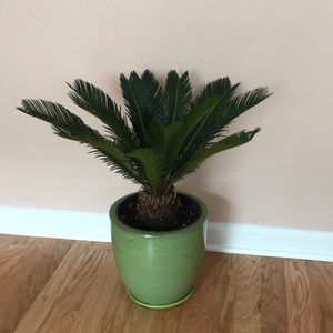 Meet your Posher, Dana